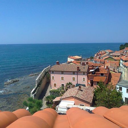 Apartments Edo Novigrad  Exterior photo